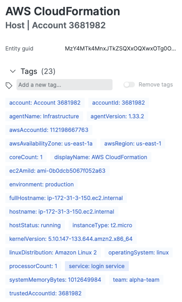 Metadata information in New Relic infrastructure monitoring