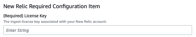 Enter New Relic API license key into AWS CloudFormation parameter