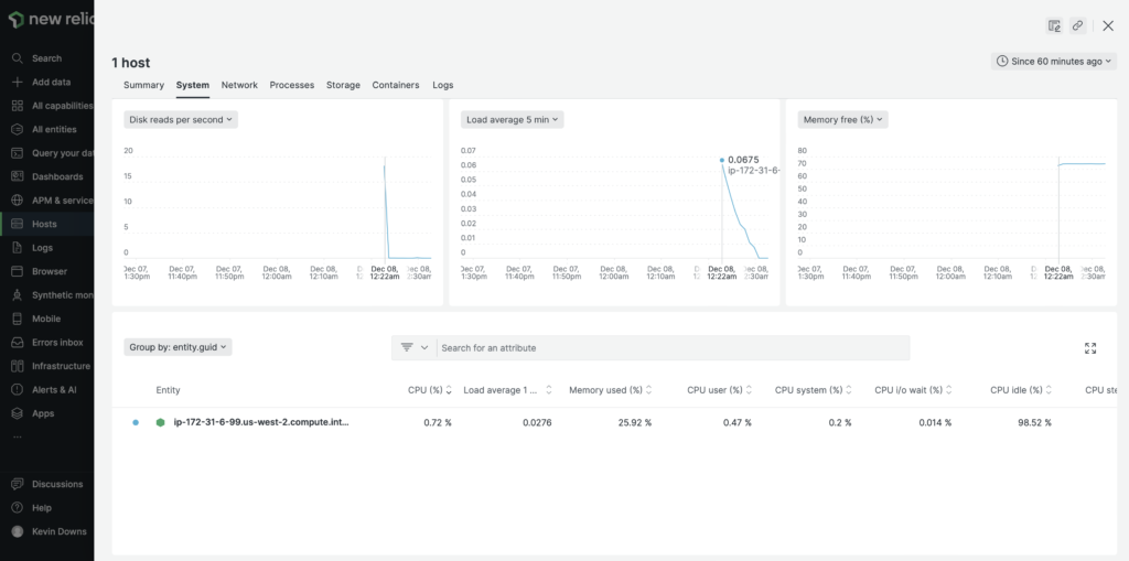 Instance metrics in New Relic infrastructure manager